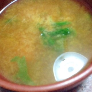 【休肝レシピ】大根の葉入りシジミ汁【味噌de腸活】